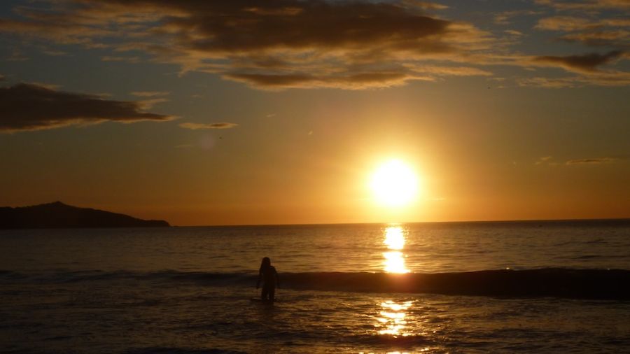Playa Flamingo